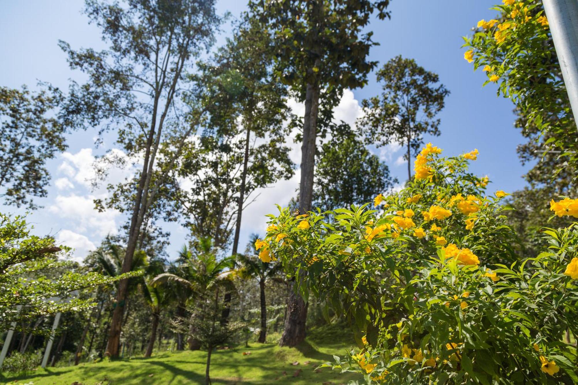 Phu Pha View Doi Hotel Samoeng Bagian luar foto