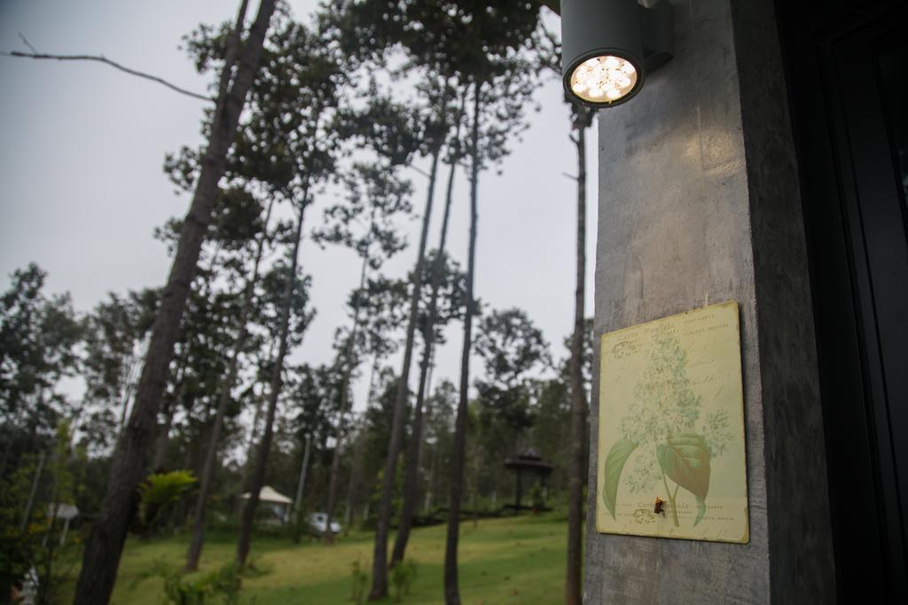 Phu Pha View Doi Hotel Samoeng Bagian luar foto